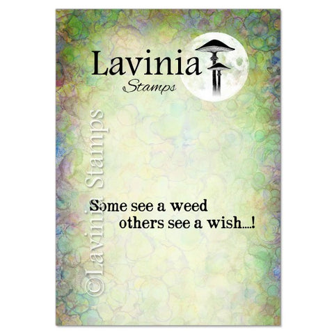 View   Lavinia Stamps - Some See A Weed