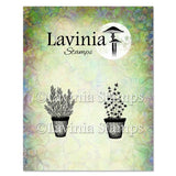 Lavinia - Rosemary & Thyme Pots Stamp -LAV948