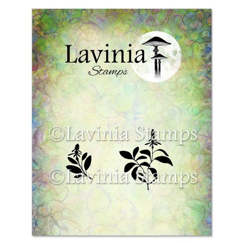 Lavinia - Sage Stamp-LAV949