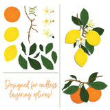 Honey Bee Lovely Layers Citrus Dies