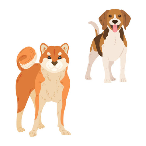 Honey Bee Lovely Layers Medium Dogs Dies