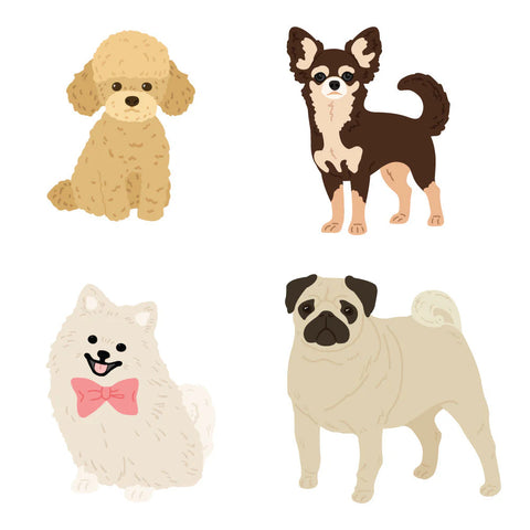 Honey Bee Lovely Layers Small Dogs Dies