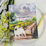 Honey Bee Lovely Layers Small Dogs Dies