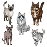 Honey Bee Stamps Paws And Purrs Cling Stamps