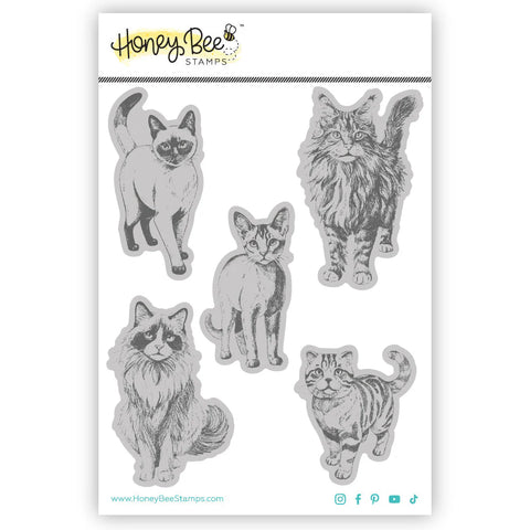 Honey Bee Stamps Paws And Purrs Cling Stamps