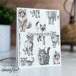 Honey Bee Stamps Paws And Purrs Cling Stamps