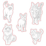 Honey Bee  Paws And Purrs Dies