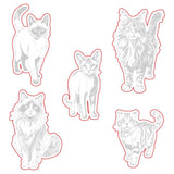 Honey Bee  Paws And Purrs Dies