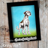 Honey Bee Stamps Tail Waggers Cling Stamps