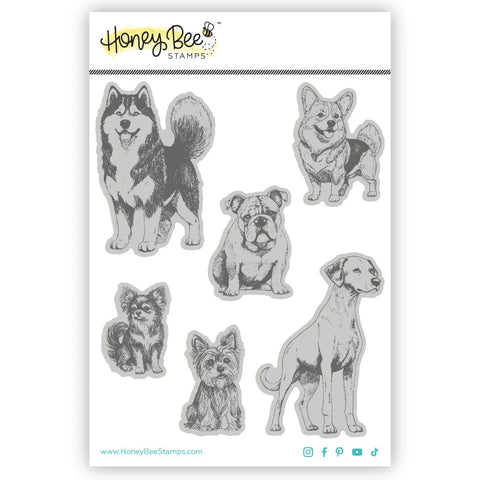Honey Bee Stamps Tail Waggers Cling Stamps