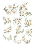 Simply Stated Denim & Daisies Floral Ephemera