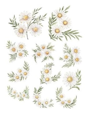 Simply Stated Denim & Daisies Floral Ephemera