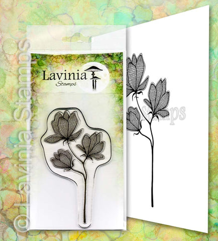 Lavinia - Lilium
