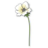 Memory Box Die, Blooming Anemone