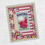 Paper Rose Meadowbrook Farm 6x6 Paper Collection