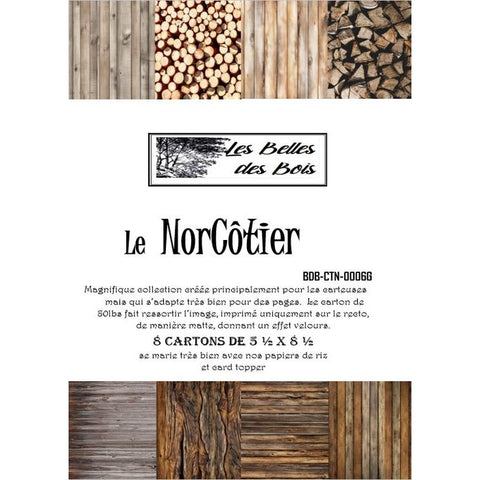 Les belles des bois - Collection NorCôtier