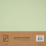 Prism Studio 12X12 Whole Spectrum Smooth Cardstock, 92lb - Echeveria (25 Sheets)