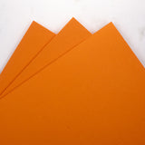 Prism Studio 12X12 Whole Spectrum Smooth Cardstock, 92lb - Bird of Paradise (25 Sheets)