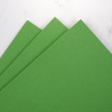 Prism Studio 12X12 Whole Spectrum Smooth Cardstock, 92lb - Opuntia (25 Sheets)