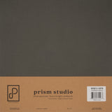 Prism Studio 12X12 Whole Spectrum Smooth Cardstock, 92lb - Southern Moss (25 Sheets)