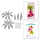 Spellbinders Echinacea (Coneflower) Etched Dies from the Summer Solstice Garden Collection by Susan Tierney-Cockburn