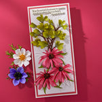Spellbinders Echinacea (Coneflower) Etched Dies from the Summer Solstice Garden Collection by Susan Tierney-Cockburn