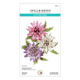 Spellbinders Astrantia Etched Dies by Susan Tierney-Cockburn
