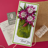 Spellbinders Astrantia Etched Dies by Susan Tierney-Cockburn