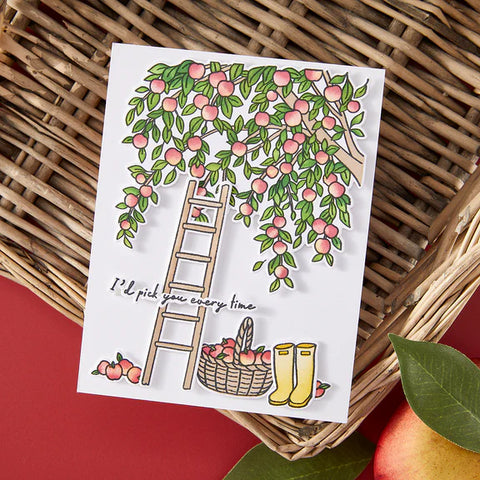 HERO ARTS IN THE ORCHARD STAMP & CUT & STENCIL BUNDLE FROM THE I PICK YOU COLLECTION