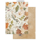 Stamperia Printed Art Junk Journal Focus Points For Art And Craft A5 - Flowers And Poems