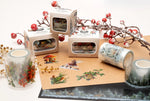 Studio Light Clear Stickers Winter Forest On A Roll Essentials 5 Meter