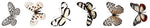 Studio Light Clear Stickers Butterfly Grunge Collection