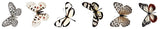Studio Light Clear Stickers Butterfly Grunge Collection