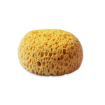 Stamperia Art Stories Sponge