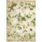 Stamperia A4 Rice Paper Selection, All Around