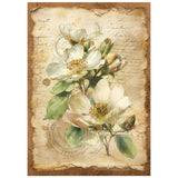 Stamperia A6 Mini Rice Paper, All Around