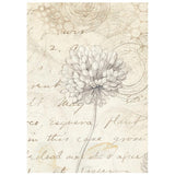 Stamperia A6 Rice Paper Backgrounds Selection, All Around