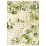 Stamperia A6 Rice Paper Backgrounds Selection, All Around