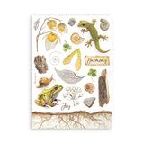 Stamperia A5 Washi Pad, All Around