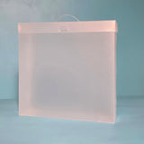 The Organized Option 12x12 File Master with 5 Pockets