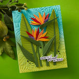 ONLINE - Spellbinders The Weekender Goes Wild 2026 Craft Kit & Virtual Retreat May 29-30