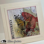 Visible Image - Antisocial Butterfly - A6 Stamp Set