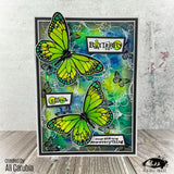 Visible Image - Butterfly Effect - A5 Stamp Set