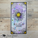 Visible Image - Daisy Grunge A6 Stamp Set