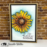 Visible Image - Daisy Grunge A6 Stamp Set
