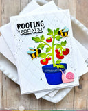 Waffle Flower Pots and Plants Die
