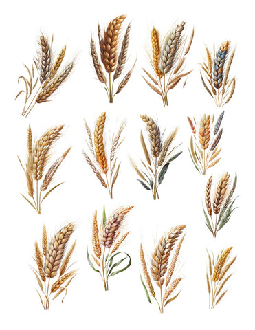 Simply Stated- Field of Gold Wheat Ephemera