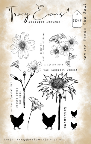 Tracy Evans - nature feeds the soul TE48