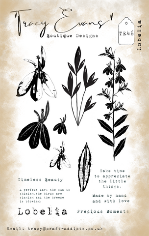 Tracy Evans - lobelia TE46
