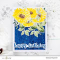 Altenew Birthday Builder Stamp Set